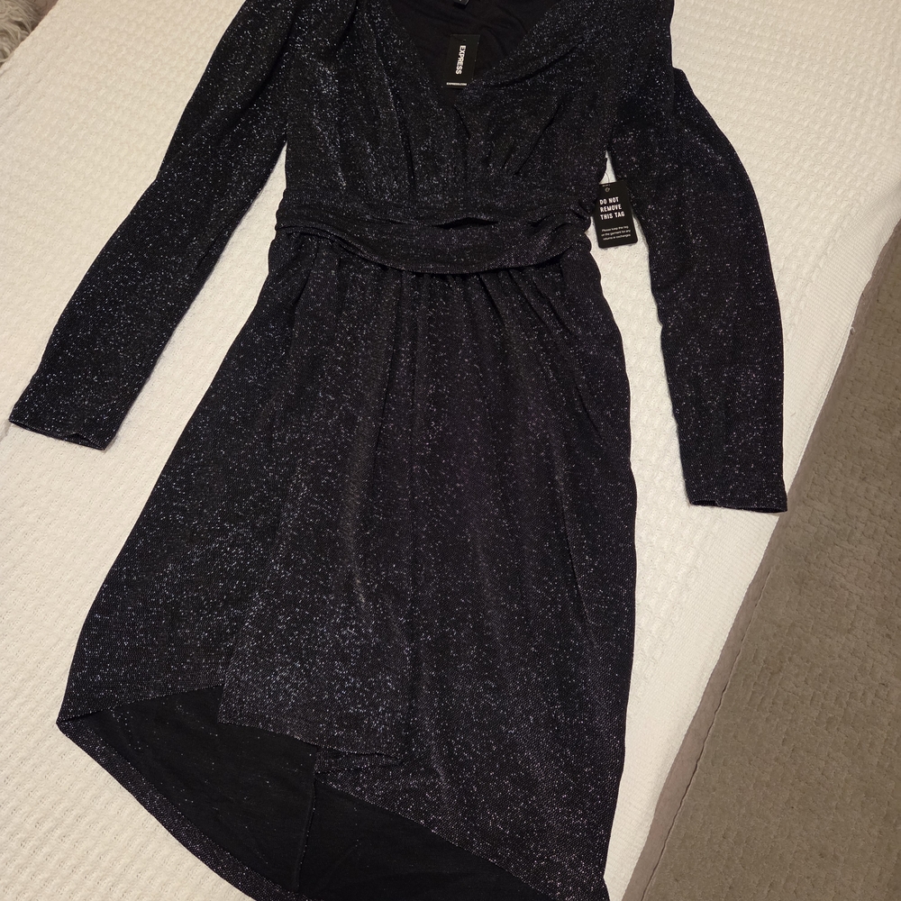 Express Black Sparkle Long Sleeve Dress